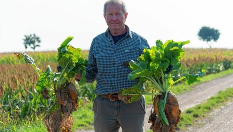 Ab dem Sommer füttert Norbert Kraus das Wild mit Futterrüben. (Bild: Brenek Malena)