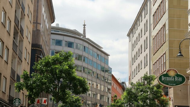 Schauplatz des schockierenden Verbrechens am helllichten Tag war vergangenen Freitag eine noble Adresse in der Rotenturmstraße im Herzen der Bundeshauptstadt. (Bild: Zwefo)