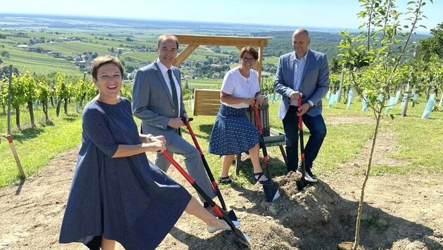 Landesrat Schneemann (2. v. re.) setzte gemeinsam mit Vertretern von pro mente einen Baum am Areal. (Bild: Schulter Christian)