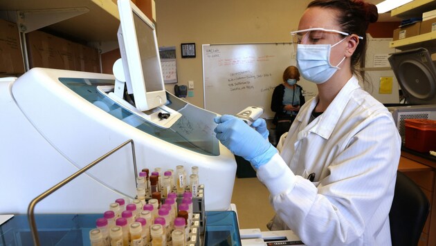 Die USA wollen viel Geld für die Erforschung von antiviralen Medikamenten im Kampf gegen das Coronavirus ausgeben. (Bild: APA/Getty Images via AFP/GETTY IMAGES/Karen Ducey)