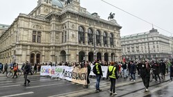 Die Demonstration „Schüler_Innen gegen Abschiebungen“ fand am 6. Februar in Wien statt. (Bild: APA/HERBERT NEUBAUER)