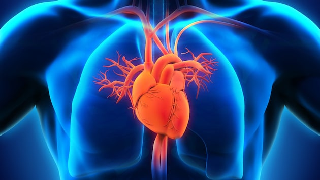 Erfolgt die Bestrahlung bei der Therapie in der Nähe des Herzens, drohen Schäden.  (Bild: ©nerthuz - stock.adobe.com)