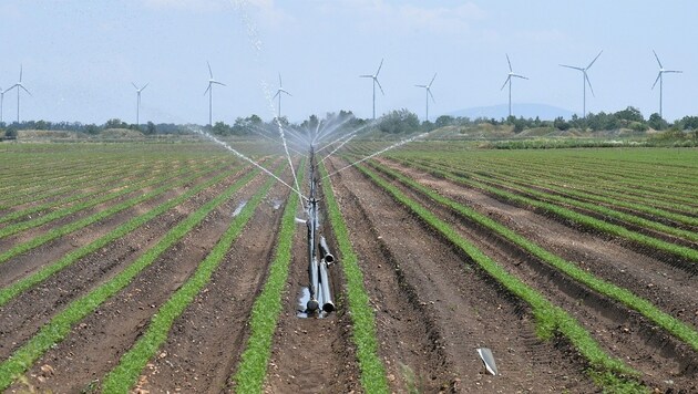 Hohe Investitionen in die Bewässerung heimischer Felder sind nötig. (Symbolbild) (Bild: P. Huber)