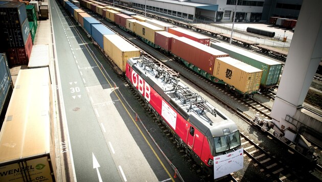 Ein 500 Meter langer Zug statt 40 Lkw brachte die Waren. (Bild: RCG Robert Illemann)
