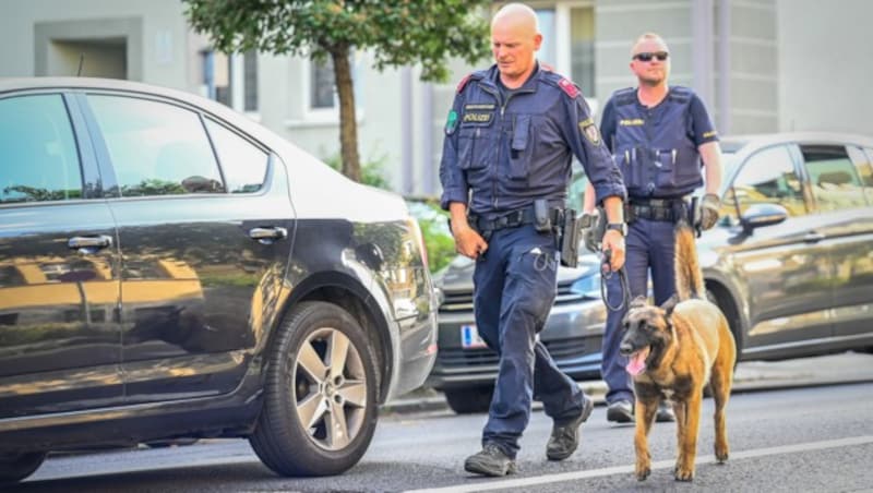 Mit Hunden wurde nach Verdächtigen gesucht (Bild: Alexander Schwarzl)