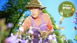 Die 90-Jährige arbeitet trotz ihres hohen Alters noch täglich im Garten. (Bild: Evelyn HronekKamerawerk)