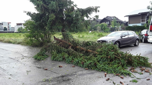 (Bild: Freiwillige Feuerwehr Seekirchen)