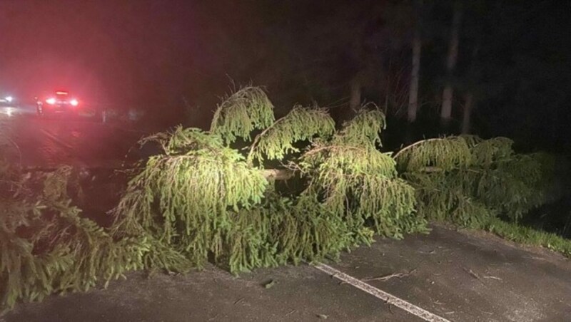 Auch in der Gemeinde Arnoldstein stürzte ein Baum auf die Straße. (Bild: FF Arnoldstein)