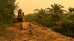 Ein Bagger gräbt auf der Insel Sumatra für eine Palmölplantage Torfböden um. (Bild: Muhammad Adimaja/Greenpeace)