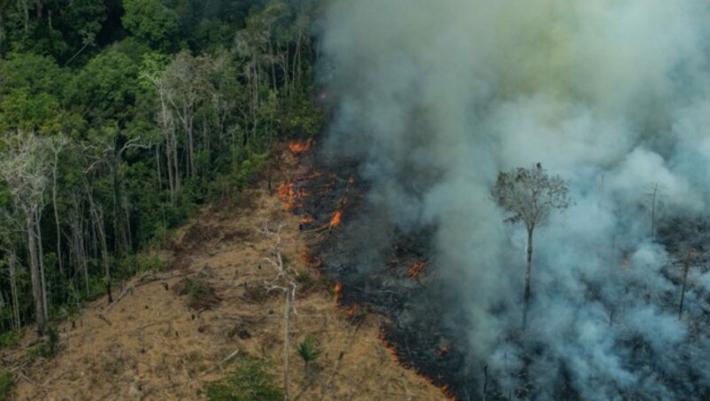 Ein Luftbild aus dem Jahr 2019 zeigt Brandrodung im brasilianischen Regenwald. (Bild: Victor Moriyama/Greenpeace)