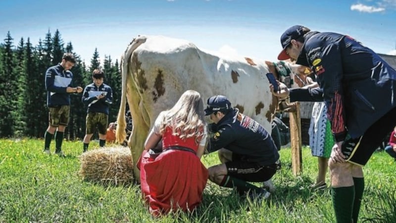 Bei der „Schnitzeljagd“ musste auch eine Kuh gemolken werden. (Bild: Philip Platzer/Red Bull Content Pool)