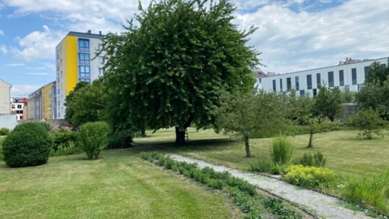 Unter dem Bischofsgarten wird eine Tiefgarage errichtet, der Garten danach neu gestaltet. (Bild: Thomas Werth)