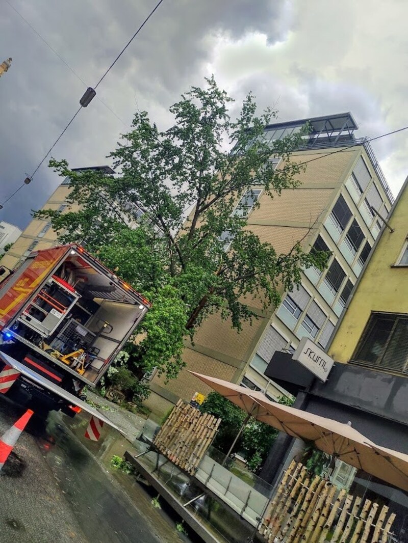 Feuerwehreinsatz wegen Astbruch in der Heinrichstraße (Bild: Leserreporter)