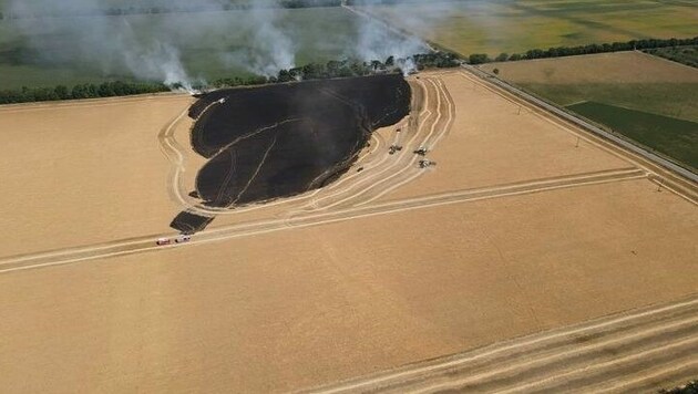 Von oben sieht man, wie groß das abgebrannte Feld ist. (Bild: FF Andau)