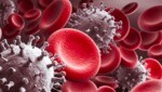 3D-Darstellung von Coronaviren im Blut (Bild: stock.adobe.com)