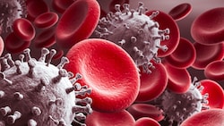 3D-Darstellung von Coronaviren im Blut (Bild: stock.adobe.com)