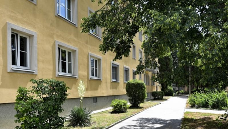 In dieser Wohnhausanlage befindet sich die Tatwohnung. (Bild: APA/Herbert Neubauer)