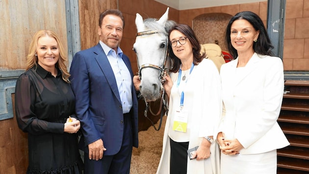 Arnold Schwarzenegger mit Freundin Heather Milligan zu Besuch bei Sonja Klima und den Lipizzanern der Spanischen Hofreitschule in Wien. (Bild: Starpix/ Alexander TUMA)