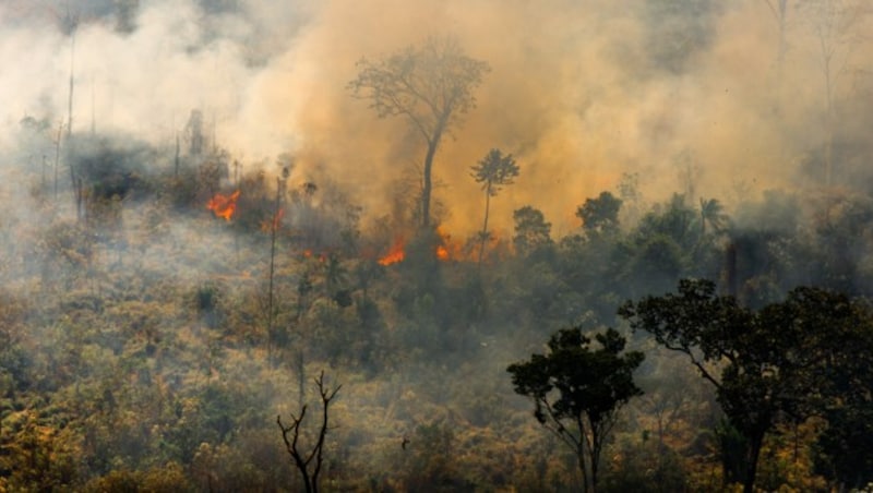 (Bild: © Christian Braga / Greenpeace)