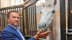 „Niemals aufgeben“: Das Motto aus vielen seiner Filme gab Arnold Schwarzenegger in Wien beim Klimagipfel vor. Abseits davon besuchte er die Lipizzaner - auf ihnen reiten durfte zwar selbst der Terminator nicht, dafür wurde er zum ersten Tierpaten. (Bild: Starpix/ Alexander TUMA)