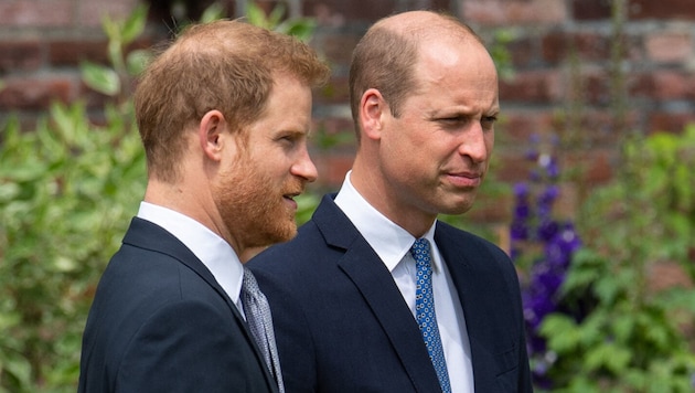 Prinz Harry und Prinz William (Bild: AFP)