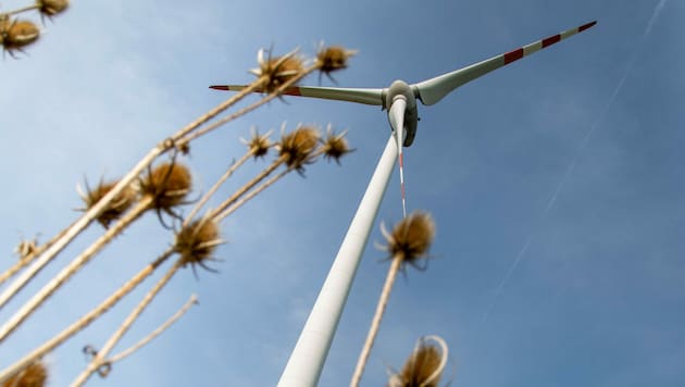 Beteiligungen an Windrädern ertragreicher als Sparbücher. (Bild: Berger Susi)