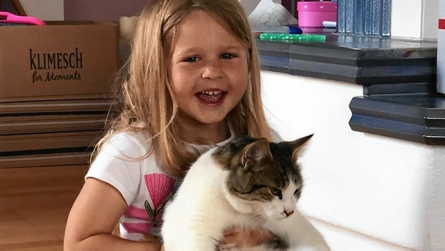 Die kleine Emilia (4) bangt um ihre Katze „Lois“ (Bild: Mario Russold-Raber)