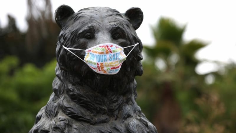 Schon bald könnte der Mindestabstand im Zoo von Oakland wieder obsolet sein - denn die Tiere werden nun gegen das Coronavirus immunisiert. (Bild: Getty Images/JUSTIN SULLIVAN)