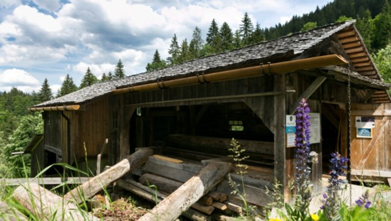 Sägewerk in Latschau (Bild: Mathis Fotografie)