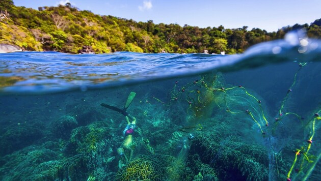 Müllhalde mit Plastik, „Geisternetzen“ im Mittelmeer: Fische sind mit Mikroplastik belastet. (Bild: Manuel Marinelli)