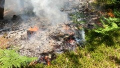 Gutenstein (Bezirk Wiener Neustadt-Land) ist am Samstag rund ein Hektar Wald in Brand geraten. (Bild: APA/FEUERWEHR)