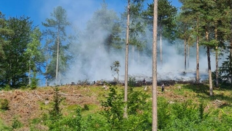 Auch in Ramsau stand eine Fläche von etwa einem Hektar Wald in Flammen. (Bild: APA/BFKDO LILIENFELD)