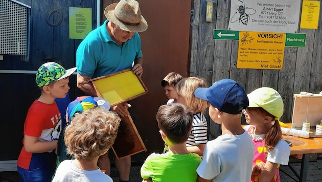 Die Kindergartenkinder haben bei Imker Albert Egger alles über die Honigerzeugung erfahren. (Bild: Tourismusverband Berg im Drautal)