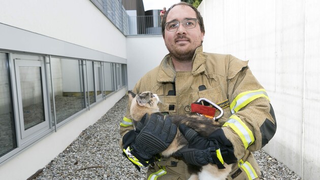 Der Rankweiler Feuerwehrmann Stefan Lampert wurde am Sonntagvormittag zum Katzenretter. (Bild: Mathis Fotografie)