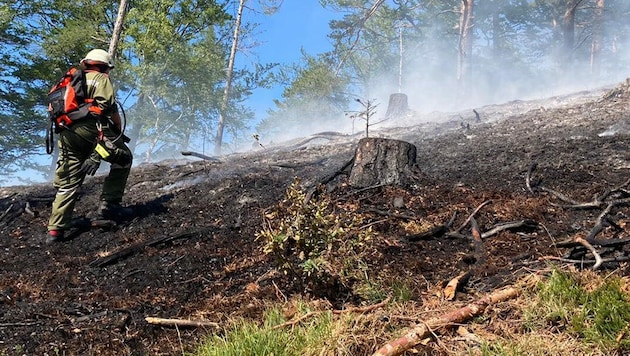 Die Einsatzkräfte bekamen den Waldbrand bei Gutenstein schließlich unter Kontrolle. (Bild: APA/FF RAMSAU/BFKDO LILIENFELD)