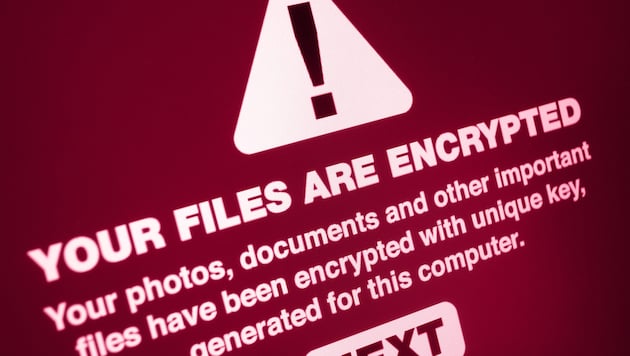 The hackers used data-encrypting ransomware against the museums. (Bild: ©jamdesign - stock.adobe.com)