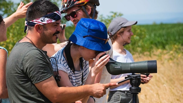 Im Rahmen des ersten Hoopoe Summit wurde die einzigartige Vogelwelt rund um den Neusiedler See beobachtet. (Bild: Merlin Mayer)