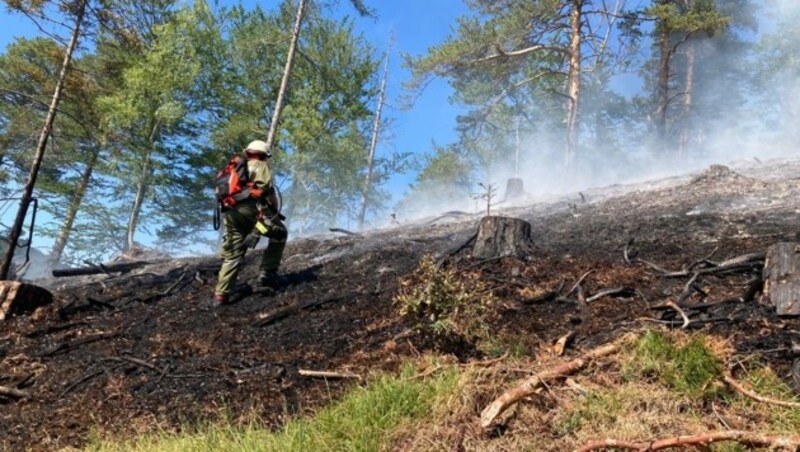 (Bild: FF Ramsau, BFKDO Lilienfeld)