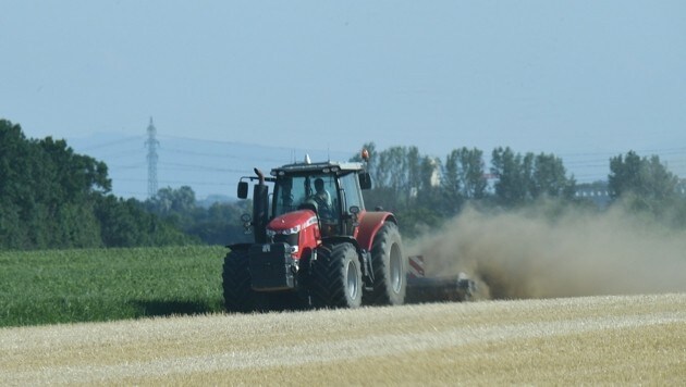 Bei Getreide wird laut Studie ein Rückgang der Produktion um bis zu 15 Prozent erwartet. (Bild: P. Huber)