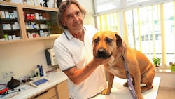 Tierarzt DDr. Georg Rainer hat schon zahlreichen Hunden nach Giftschlangen-Bissen das Leben gerettet. (Bild: Rojsek-Wiedergut Uta)