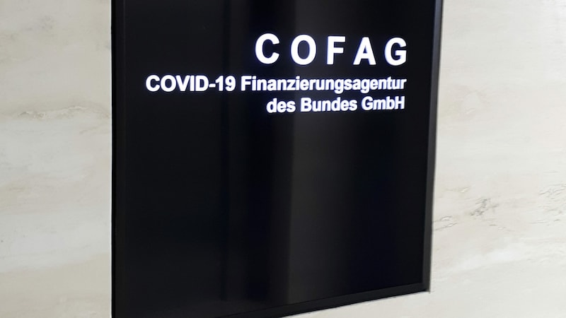 Die COFAG – Hauptthema des derzeitigen U-Ausschusses des Parlaments (Bild: APA/Philip Stotter)