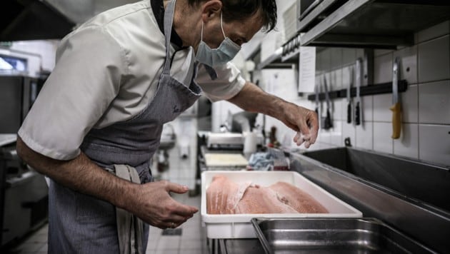 Gerade in bereits zubereiteten Speisen lässt sich als Konsument meist nur schwer nachvollziehen, welches Tier man vorgesetzt bekommen. Überraschenderweise ist das in Österreich oft auch Haifischfleisch. (Bild: AFP/Philippe LOPEZ)