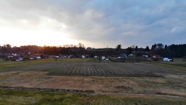 Auf diesem Areal im Pischelsdorfer Ortsteil Wagenham soll der Fußballplatz gebaut werden. (Bild: zVg)