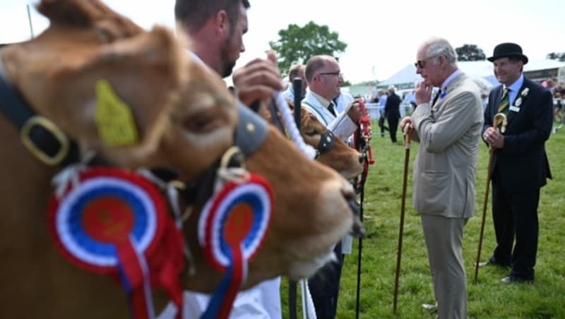 Prinz Charles besuchte die Landwirtschaftsschau Great Yorkshire Show in Harrogate in Nordengland. (Bild: APA/Photo by Oli SCARFF / POOL / AFP)