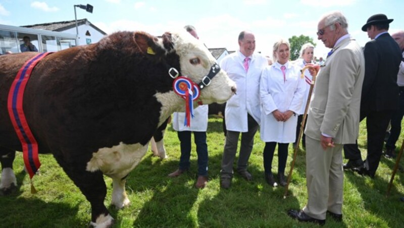 Beim Besuch der Landwirtschaftsschau in Nordengland trat der britische Thonfolger in einen Kuhfladen. „Das bringt Gück“, wurde ihm erklärt. (Bild: Photo by Oli SCARFF / POOL / AFP)