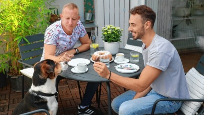 Lauschiges Interview auf grüner Terrasse mit Kaffee, Hund & selbst gemachtem Gugelhupf. (Bild: Zwefo)