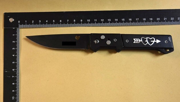 Mit diesem Messer soll der 17-Jährige zugestochen haben. (Bild: LPD Wien)