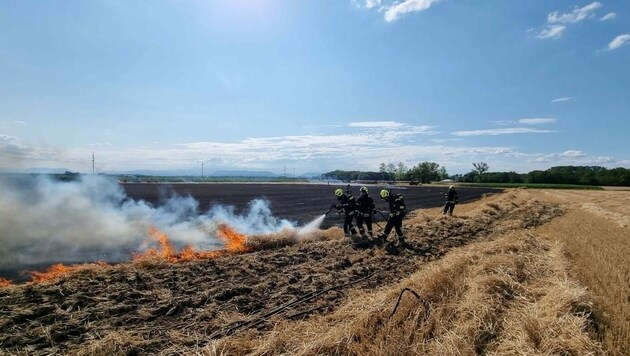 Ein abgedroschenes Getreidefeld stand in Flammen. (Bild: FF Neufeld)