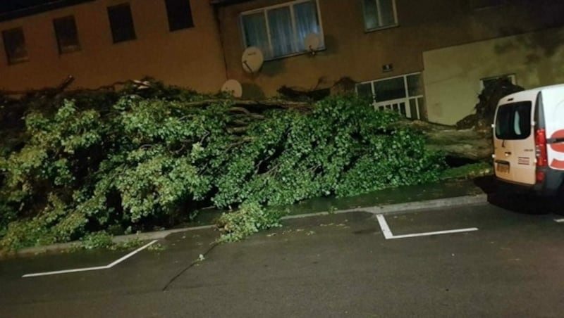 In Stammersdorf knickte etwa ein Baum um. (Bild: zVg)