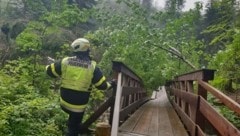 Die Florianis im Einsatz in Hall bei Admont (Bild: FF Hall)